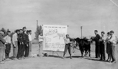 A class of boys are learning about raising cows. On boy is holding the bridle of a black angus yearling calf. There is a sign behind him that says, "The cow before the jury. Will the cow go back to the barn or go to the butcher? "