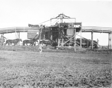 Liberty Hall highline beetdump. In the photo you can see rows of horse pulled wagons lined up ready to go up the ramp and on the east side a train car already filled with beets. 