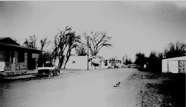 Main street in Mead about 1971. On the right you can see Clarks Lumber. On the left the old Mead Town Hall, Snider's, and other buildings. A dog is standing in the middle of the street.